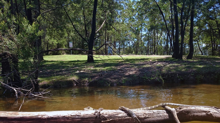 SPECIAL POI Lake Yarrunga Acacia Flat Campground